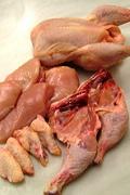 Lot organic chicken meat. Box with 11 Kg. Lot organic chicken meat. Box with 11 Kg.
