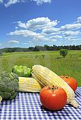 Verduras