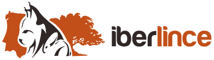 iberlince
